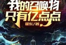 求网游：我的召唤物只有亿点点小说免费资源-侠客文学