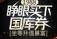 1988：睁眼买下国库券，坐等升值暴富小说，1988：睁眼买下国库券，坐等升值暴富免费阅读-侠客文学