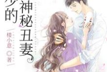 完结版《顶级暖婚：战少的神秘丑妻》在线免费阅读-侠客文学