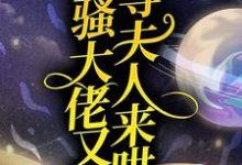 小说《闷骚大佬又在等夫人来哄》在线章节阅读-侠客文学