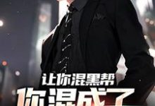 《让你混黑帮,你混成了社会英雄?》小说大结局免费试读 方正小说-侠客文学