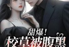 已完结小说《甜爆！校草被腹黑少女拿捏了》最新章节-侠客文学