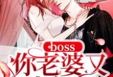 完结版《boss你老婆又生气了》免费阅读-侠客文学