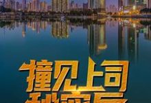 秦天柱林雨琪为主角的小说叫什么?免费看撞见上司秘密后,他平步青云了-侠客文学