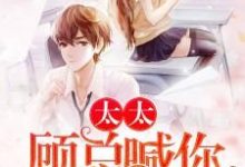 戚玥顾淮是哪本书的主角?寻找太太,顾总喊你生二胎免费阅读-侠客文学