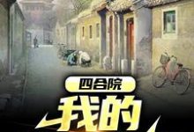 四合院：我的悠闲生活（林天）在线免费阅读-侠客文学