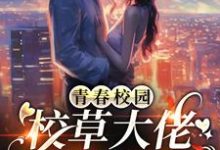 青春校园：校草大佬的白月光小说的无弹窗阅读体验，寻找免费阅读网站-侠客文学