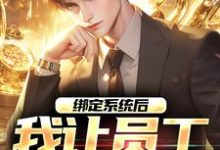 绑定系统后，我让员工上二休二小说，绑定系统后，我让员工上二休二免费阅读-侠客文学