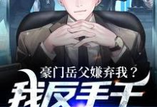 小说《豪门岳父嫌弃我?我反手干个一等功》章节免费阅读-侠客文学