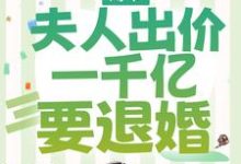 求薄爷,夫人出价一千亿要退婚小说免费资源-侠客文学