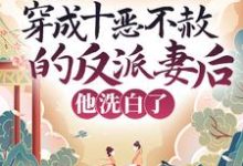 穿成十恶不赦的反派妻后，他洗白了崔晚棠宋彧，穿成十恶不赦的反派妻后，他洗白了在线无弹窗阅读-侠客文学