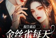 完整版的报告霸总，金丝雀每天都在装乖巧小说在哪里可以免费读到？-侠客文学