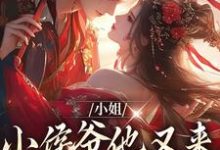 小姐,小侯爷他又来爬墙看你了许柔嘉余袖清,小姐,小侯爷他又来爬墙看你了在线无弹窗阅读-侠客文学