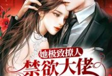 顾南舟沈喻小说在线章节免费阅读（她极致撩人，禁欲大佬清醒沦陷无弹窗无删减）-侠客文学