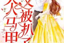 完结版《肆爷，您夫人马甲又被扒了》在线免费阅读-侠客文学