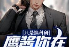 只是搞科研，鹰酱你在怕什么？免费阅读，只是搞科研，鹰酱你在怕什么？章节目录-侠客文学