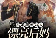 军婚甜蜜勾人，漂亮后妈养崽赚麻了小说，军婚甜蜜勾人，漂亮后妈养崽赚麻了免费阅读-侠客文学