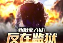 新婚夜入狱！反在监狱成大佬小说免费资源，新婚夜入狱！反在监狱成大佬在线阅读-侠客文学
