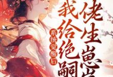 完结版《系统觉醒后,我给绝嗣大佬生崽崽》免费阅读-侠客文学