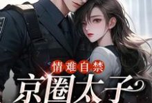 免费看情难自禁，京圈太子对她上瘾小说的网站有哪些？-侠客文学