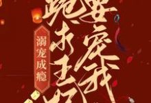 已完结小说《溺宠成瘾：跪求王妃要宠我》最新章节-侠客文学