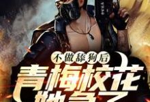 《不做舔狗后，青梅校花她急了》小说章节列表免费试读，云逸肖雅琴小说在线阅读-侠客文学