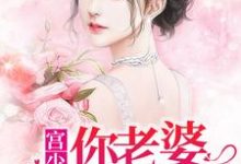 宫少，你老婆又爬墙了小说有没有完结版在线？-侠客文学