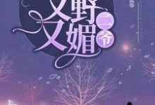 二爷，夫人她又野又媚小说，二爷，夫人她又野又媚章节在线阅读-侠客文学