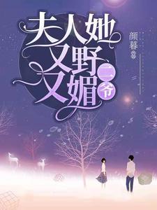 二爷，夫人她又野又媚小说，二爷，夫人她又野又媚章节在线阅读