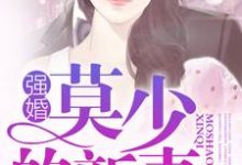 小说《强婚:莫少的新妻》在线章节阅读-侠客文学