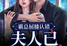 男女主人公叫 云柠顾司礼的小说免费资源-侠客文学