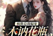 《疯批总裁偏宠，木讷花瓶太惹眼！》全集免费在线阅读（靳行止辛明昭）-侠客文学