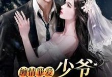 缠情罪爱:少爷,夫人逃跑了(苏绵绵谢与淮)在线免费阅读-侠客文学