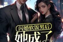 湛行洲言若初小说在线章节免费阅读（闪婚软饭男后，她成了富太太？无弹窗无删减）-侠客文学