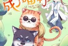 一不小心成了喵神小说无弹窗阅读的网站推荐-侠客文学