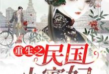 完结版《重生之民国小寡妇》章节阅读-侠客文学