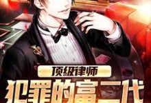 顶级律师：犯罪的富二代一个别想逃小说最新更新在哪里？免费在线看-侠客文学