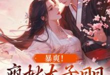 暴爽!疯批太子日日狂撩小娇妻小说有没有完整的免费版本在线阅读?-侠客文学