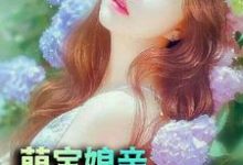 在线搜索楚芷枫帝霆修的完整小说，免费阅读萌宝娘亲美又飒-侠客文学