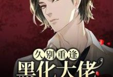 沈戾纪舟野小说《久别重逢：黑化大佬人设崩塌了》在线阅读-侠客文学