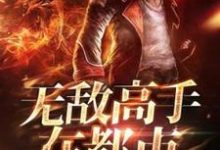 无敌高手在都市小说最新更新在哪里？免费在线看-侠客文学