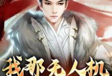 免费在线阅读我那无人机轰炸倭寇小说的正规网站有哪些?-侠客文学