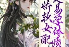 生子系统:娇软女配是易孕体质!容清浅洛景澈,生子系统:娇软女配是易孕体质!小说免费阅读-侠客文学