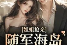 沈梨陆景川为主角的小说叫什么？免费看姐姐抢亲，随军海岛我赢麻-侠客文学