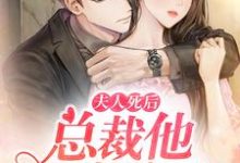 桑禾贺丞言为主角的小说叫什么？免费看夫人死后总裁他崩溃了-侠客文学