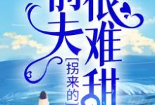 时漾傅景川小说《拐来的前夫很难甜》在线阅读-侠客文学