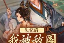 寻找能够免费阅读失忆后：我被敌国侯爷捡到了小说的平台-侠客文学