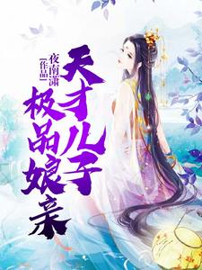 天才儿子极品娘亲慕染染慕瑾瑜夙宸，天才儿子极品娘亲小说免费阅读