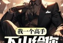 我一个高手，下山给你当保镖？这本小说怎么样？免费在线阅读试试-侠客文学