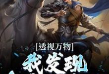 透视万物：我发现皇帝的密码小说全文哪里可以免费看？-侠客文学